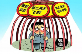 重庆电话催收花呗被起诉：消费者权益保护下的争议与反思